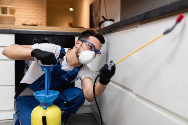 Best Pest Inspection Near Me  in Park City, KS
