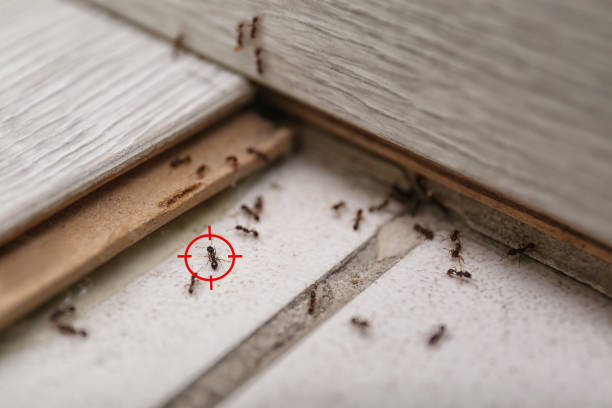 Best Wildlife Control Services  in Park City, KS