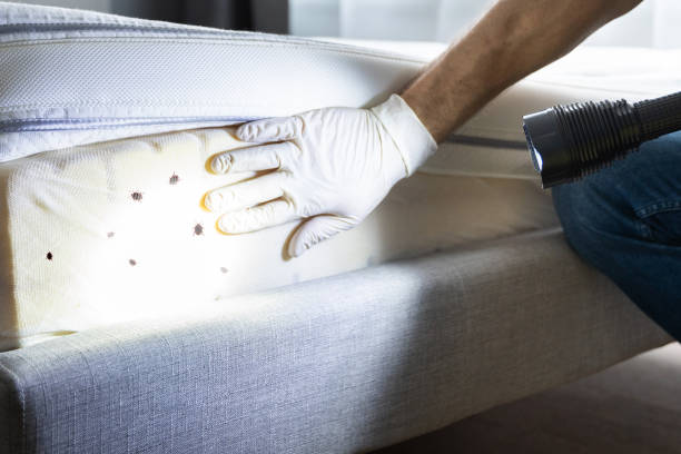 Best Pest Control Cost  in Park City, KS