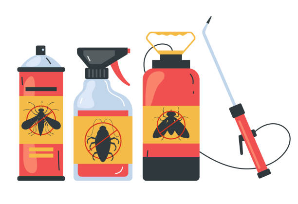 Best Termite Control Services  in Park City, KS