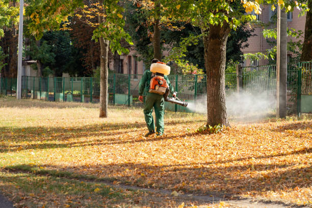 Best Pest Control for Homes  in Park City, KS